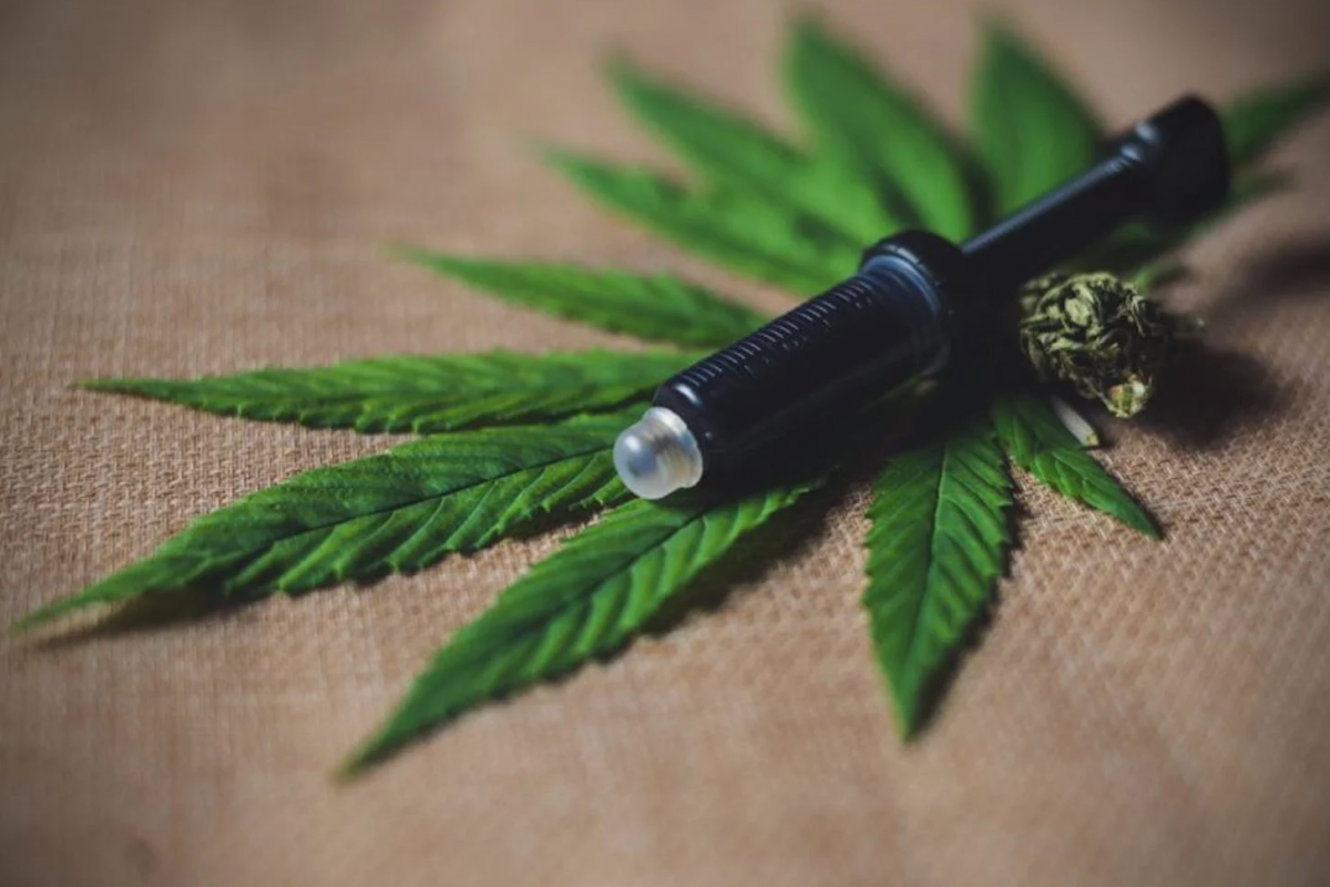 Saúde: CFM suspende resolução sobre prescrição da Cannabis medicinal