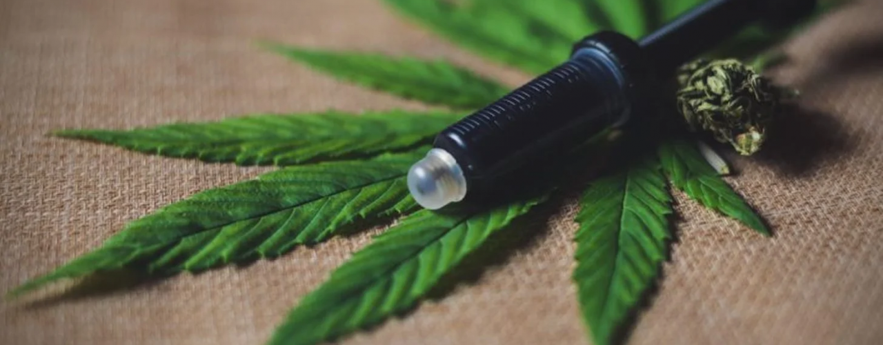 Saúde: CFM suspende resolução sobre prescrição da Cannabis medicinal