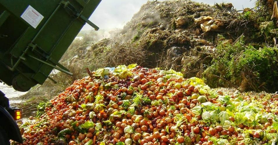 Coalizão: Movimento Todos à Mesa une forças ao Pacto pelos 15% com Fome