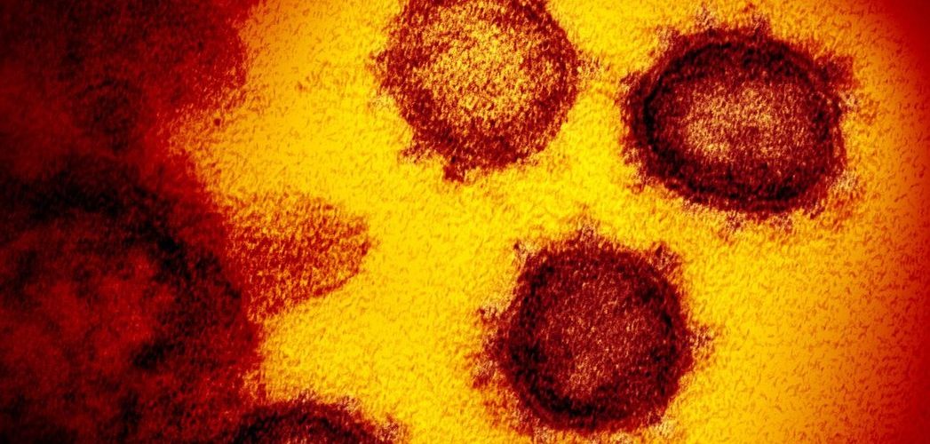 Saúde: Identificadas duas linhagens novas do coronavírus no Brasil