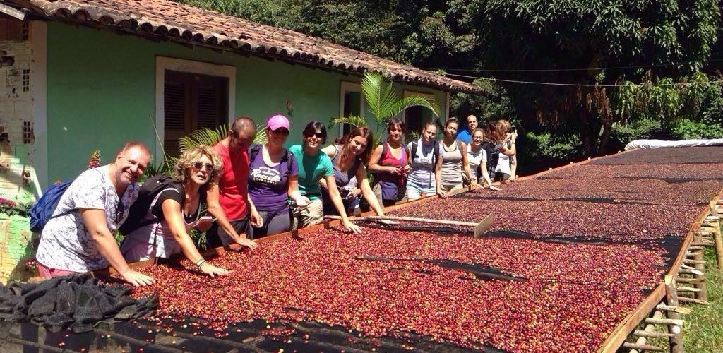 Brasil Rural: O frio e o café de sombra do Ceará recebem visita técnica do MTur