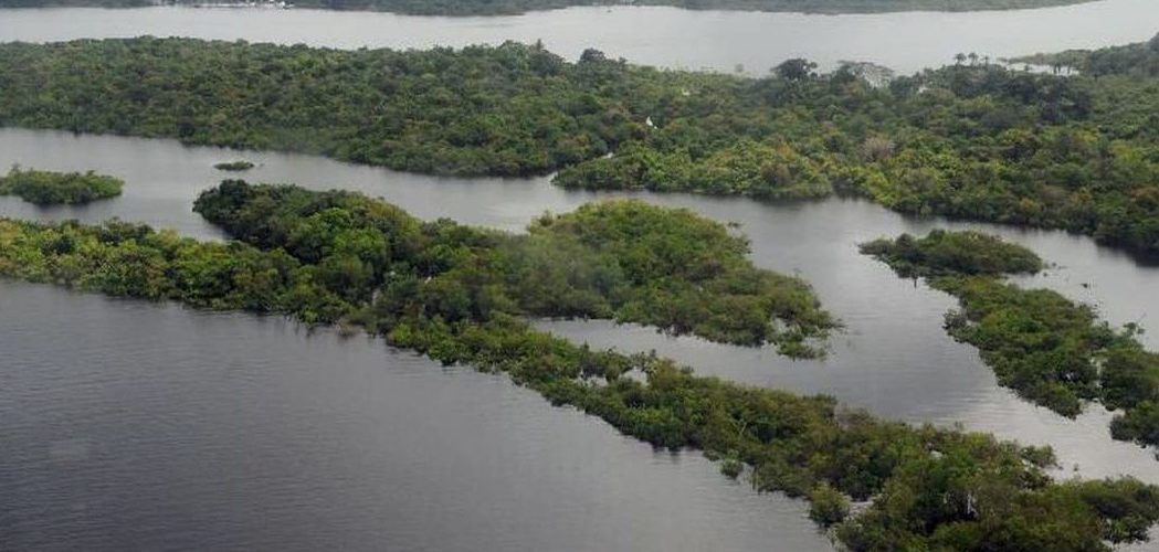 Meio Ambiente: Preservação da Amazônia é prioridade do governo eleito na COP27