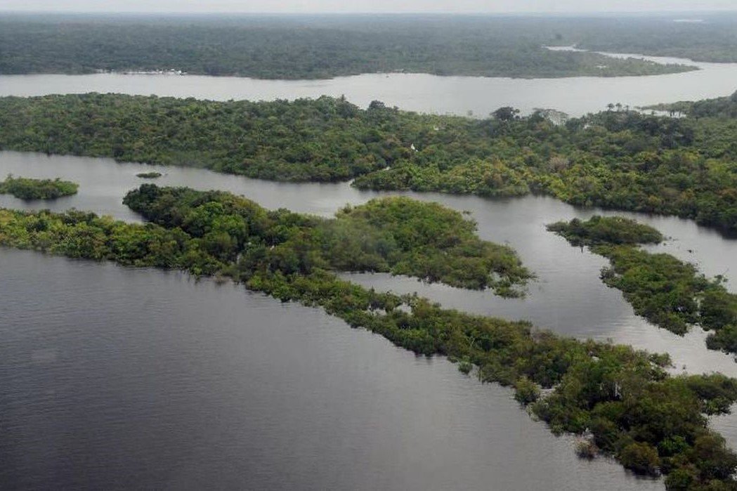 Meio Ambiente: Preservação da Amazônia é prioridade do governo eleito na COP27
