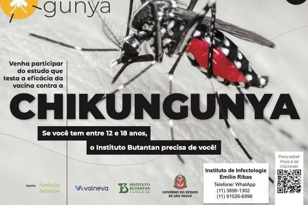 Saúde: Instituto recruta voluntários para teste de vacina contra chikungunya