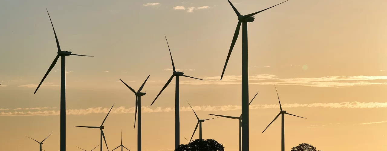 Negócios: Potencial do mercado de energia é pauta para nova edição do Trends Experience, no Ceará