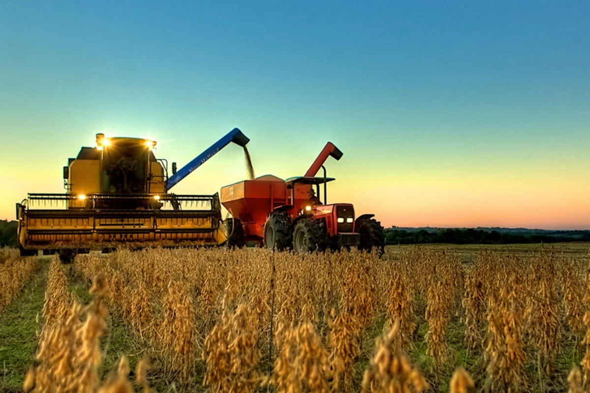 Segundo a Companhia Nacional de Abastecimento (Conab), o crescimento reflete uma estimativa de elevação na área plantada da soja. | Foto: Reprodução