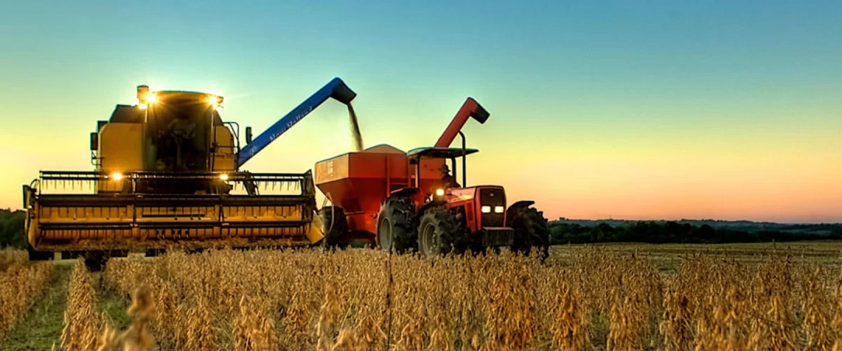 Segundo a Companhia Nacional de Abastecimento (Conab), o crescimento reflete uma estimativa de elevação na área plantada da soja. | Foto: Reprodução