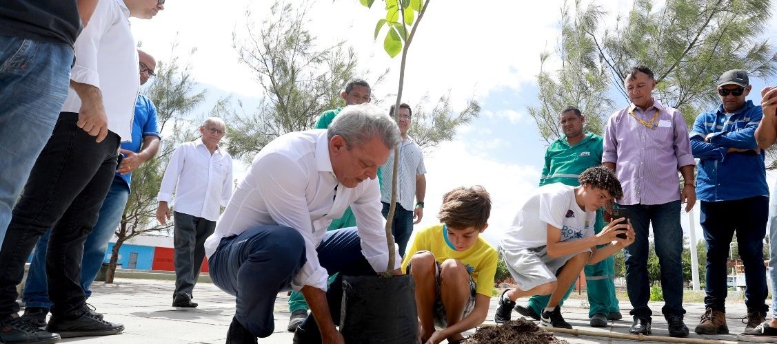 Fortaleza: Prefeito José Sarto anuncia plantio de 200 árvores de grande porte Praça da Paz Dom Hélder Câmara