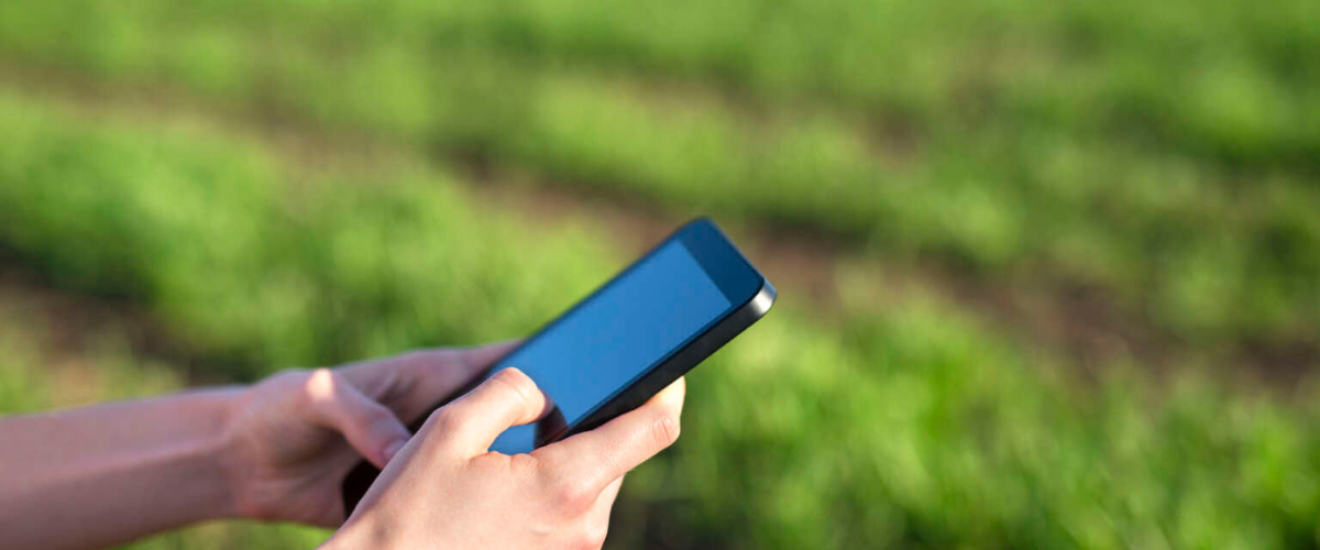 No total, foram atendidos 475 distritos, localizados em 148 municípios, beneficiando 1,4 milhão de cearenses. | Foto: Reprodução