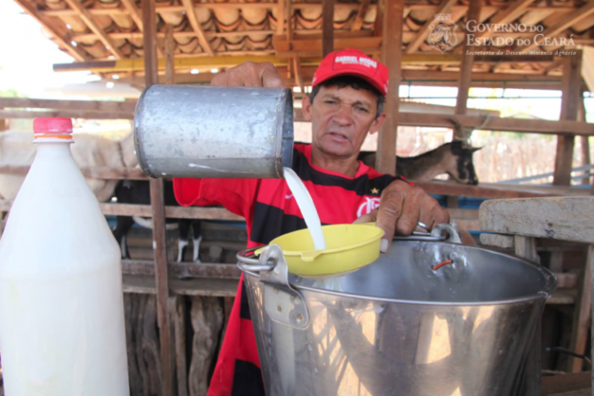 De 2014 a 2022, o Governo do Ceará comprou e distribuiu 78.141.346 litros de leite bovino. | Foto: Carlos Gibaja