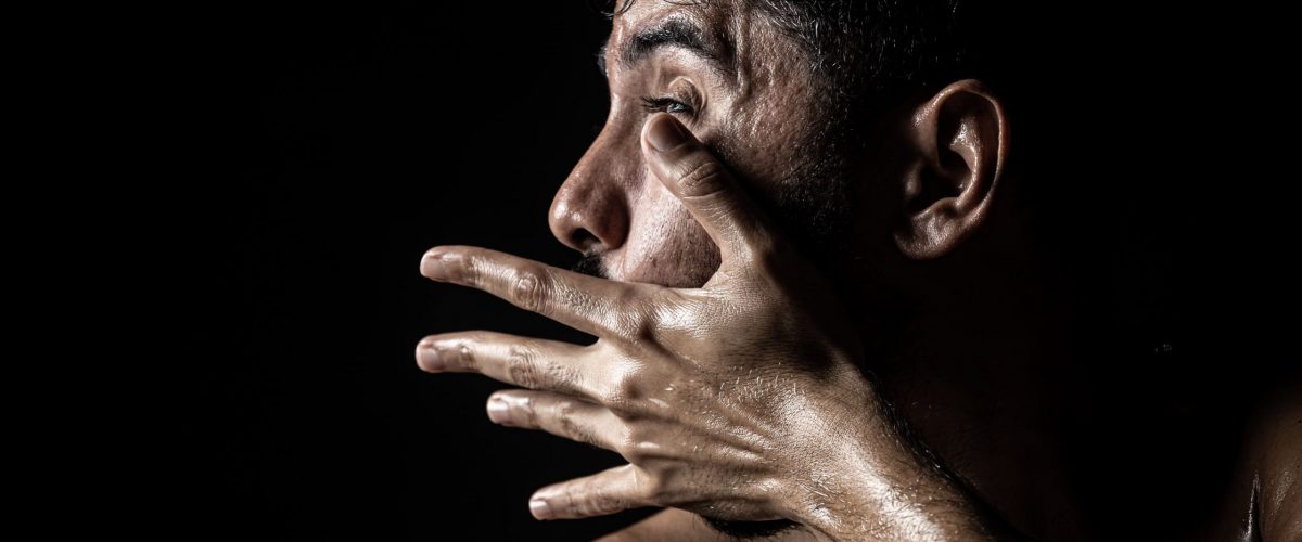 Reino dos Bichos foi um dos premiados. | Foto: Divulgação