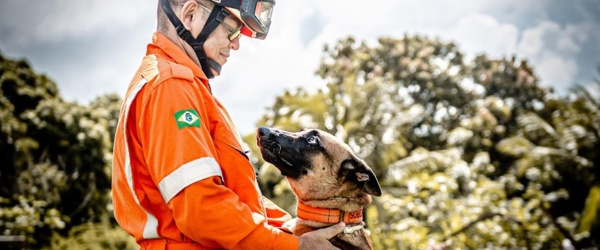 Cãozinho se destacou por sua agilidade e força física. | Foto: Divulgação/Corpo de Bombeiros do Ceará