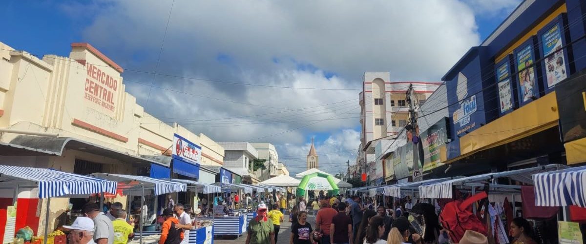 Agro: Faec quer feiras livres de produtos orgânicos em bairros nobres Fortaleza 