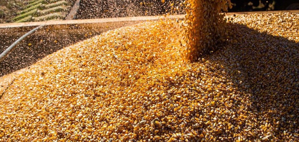 Economia: Exportações do agronegócio batem recorde em janeiro