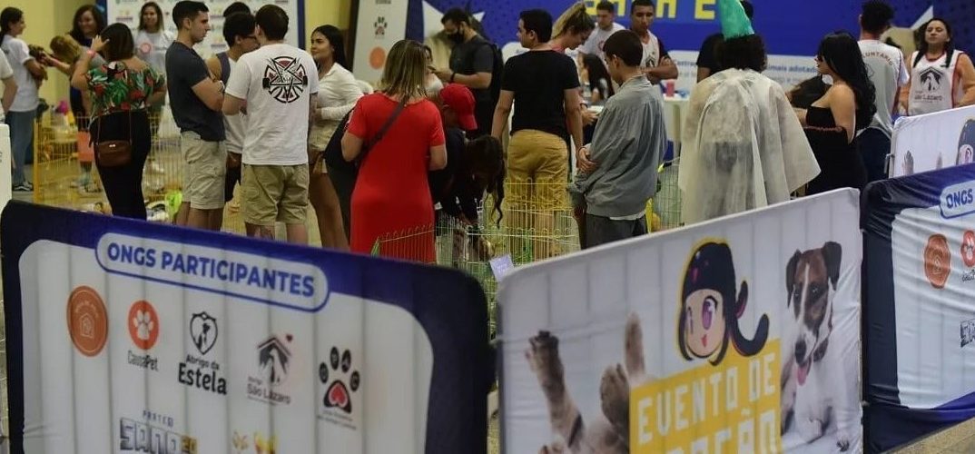 Bem-estar Animal: Bichomania e FCNB comemoram sucesso de adoções na maior Feira de Adoção do Ceará