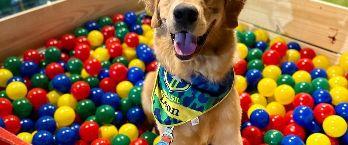 Negócios: Maraponga Food Square apresenta Bailinho de Carnaval Pet