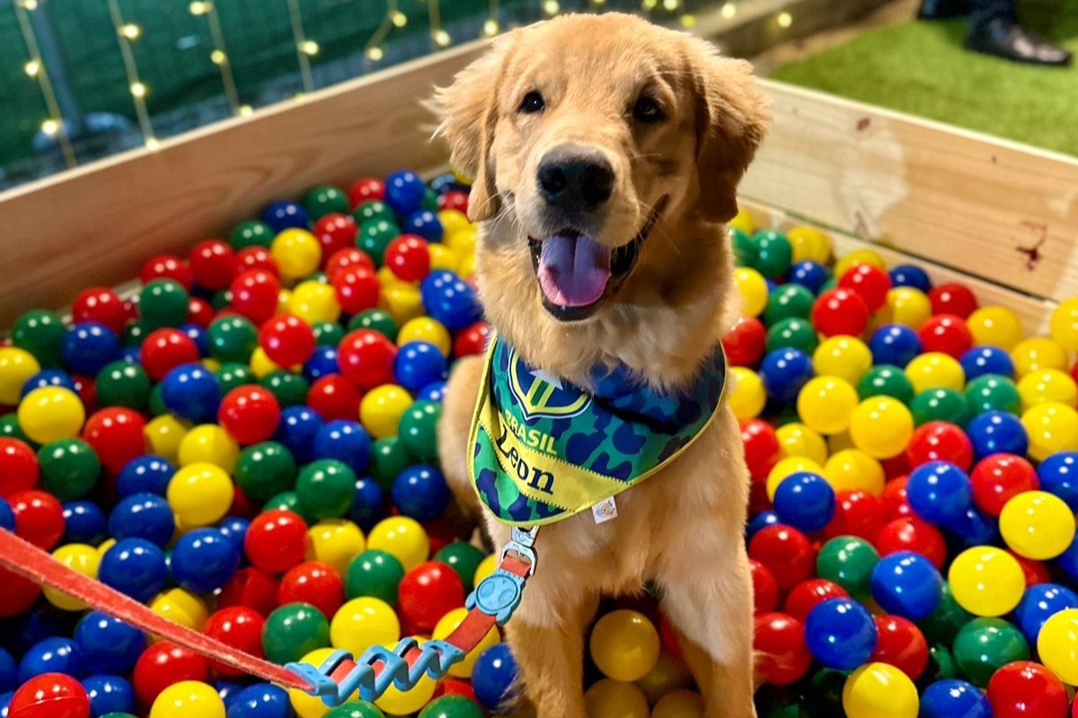 Negócios: Maraponga Food Square apresenta Bailinho de Carnaval Pet