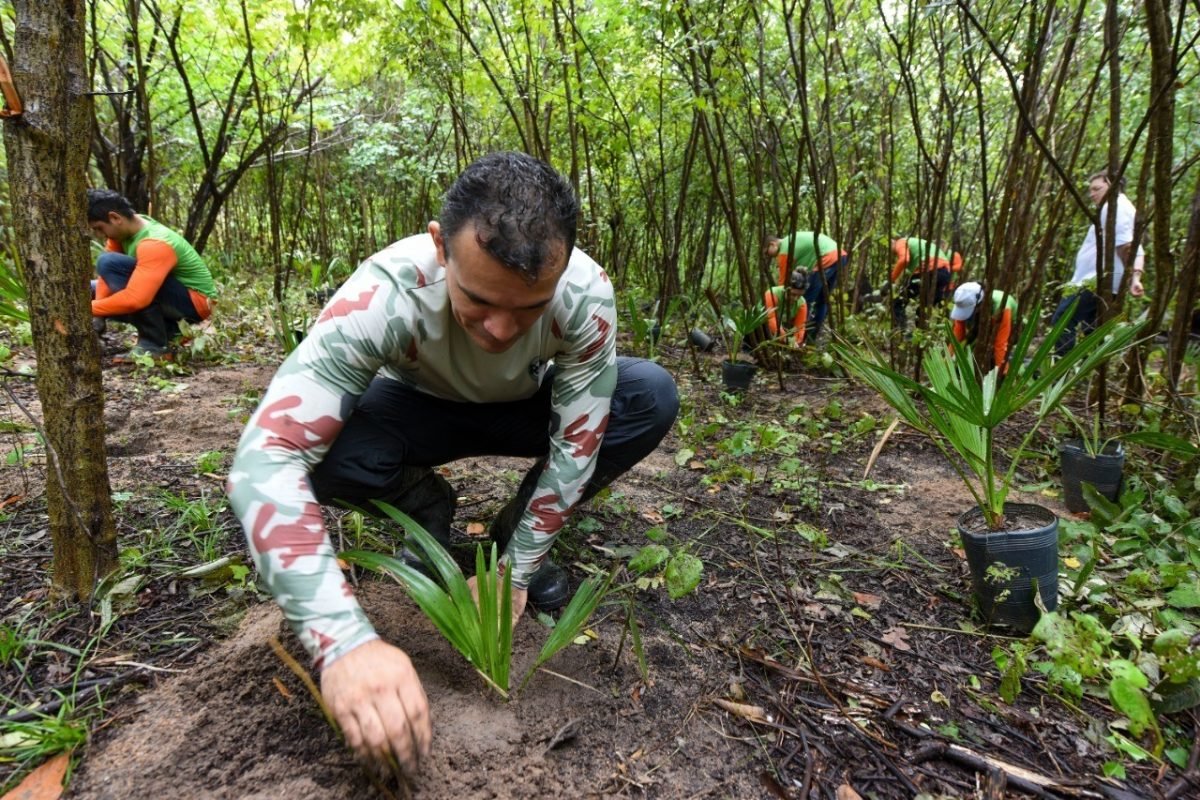 Meio Ambiente: Projeto de reflorestamento e conservação na Região Metropolitana de Fortaleza expande área de proteção para mais de 1700 ha