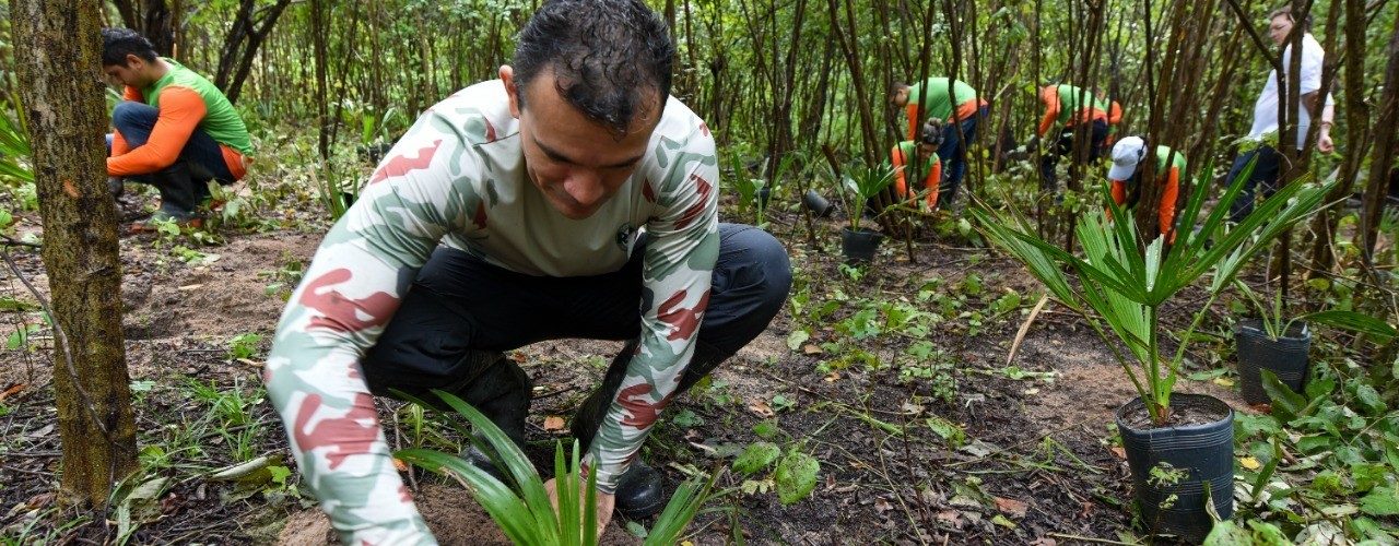 Meio Ambiente: Projeto de reflorestamento e conservação na Região Metropolitana de Fortaleza expande área de proteção para mais de 1700 ha