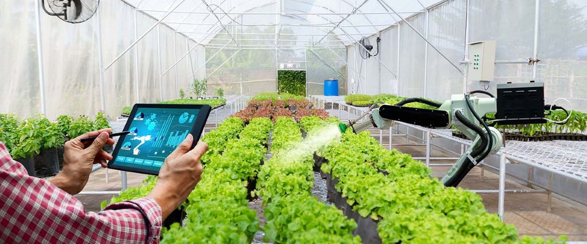 Agricultura Familiar e as Novas Tecnologias: O Empoderamento da Juventude no campo