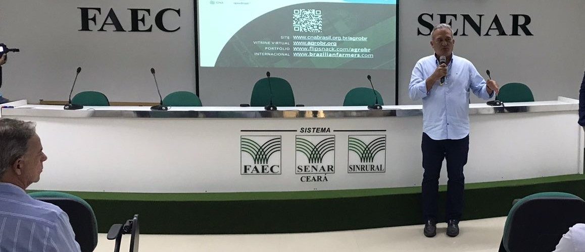 Economia: Agronegócio chega a 19% de participação no PIB do Ceará