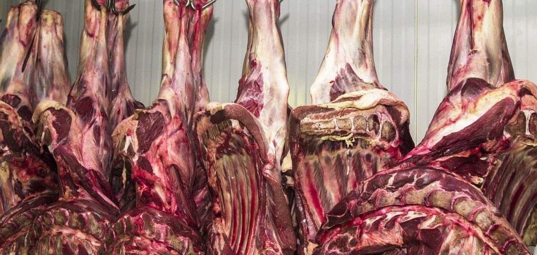 Consumo: Abate de bovinos no Brasil volta a crescer após dois anos de queda