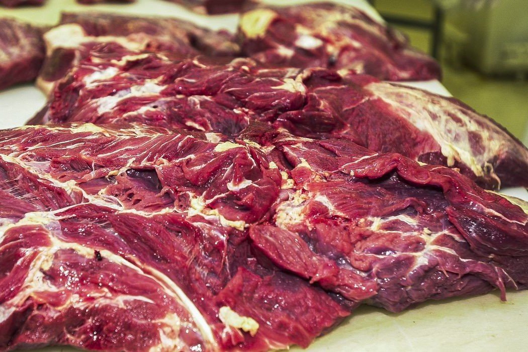 Comércio: Brasil poderá exportar carne bovina para o México