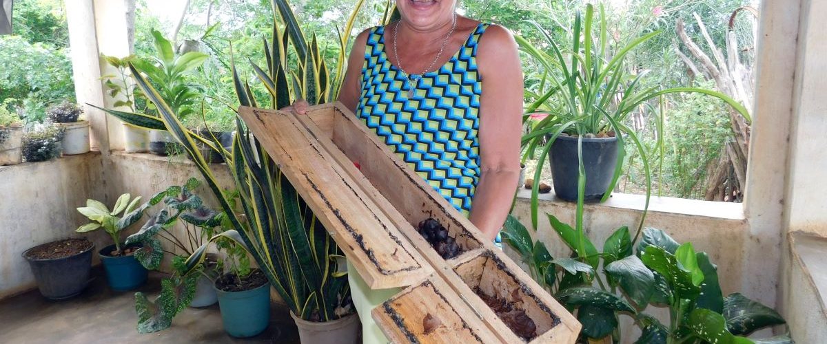 Dia da Mulher: Associação Caatinga desenvolve ações de educação ambiental com foco no empoderamento de mulheres