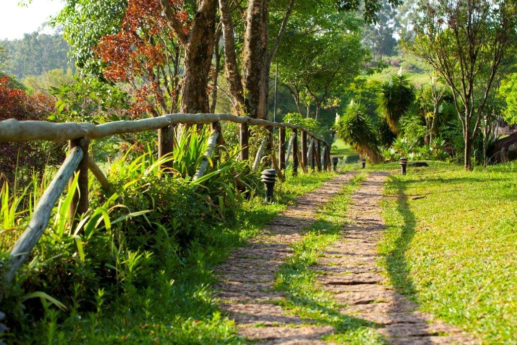 Natureza: Uma nova consciência sobre o valor da biodiversidade