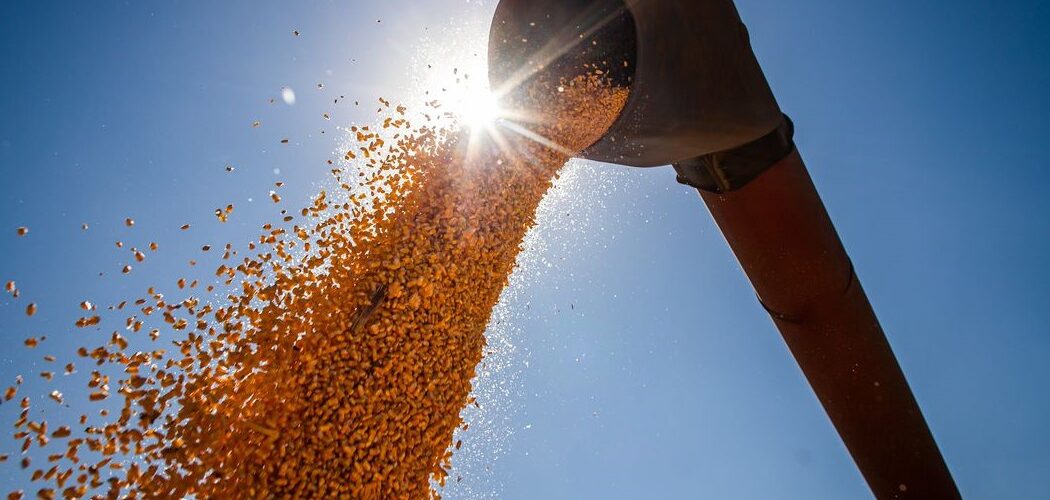 Agronegócio: Produção de grãos deve ter alta de 15% na temporada 2022/23