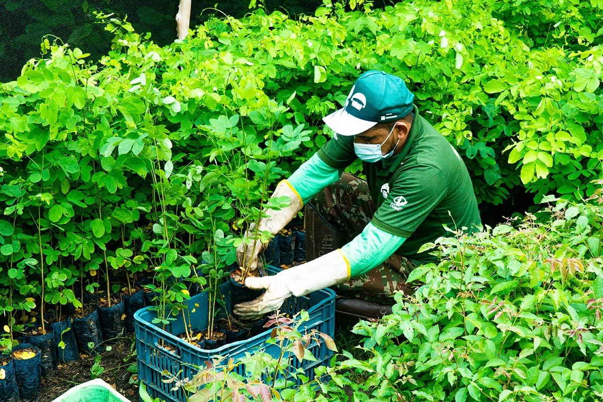 Meio Ambiente: Associação Caatinga promove evento sobre a restauração do semiárido