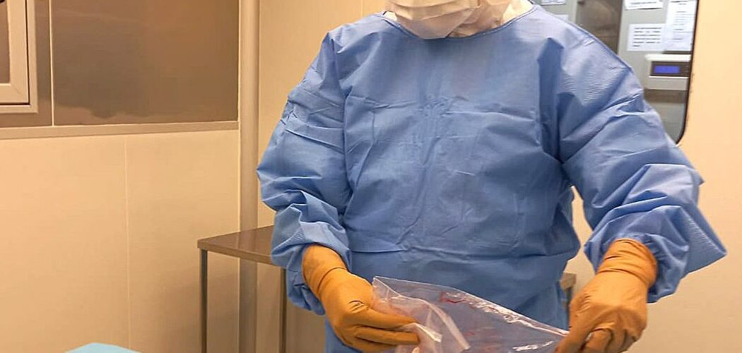 Saúde: Pesquisa desenvolve curativos biológicos à base de placenta