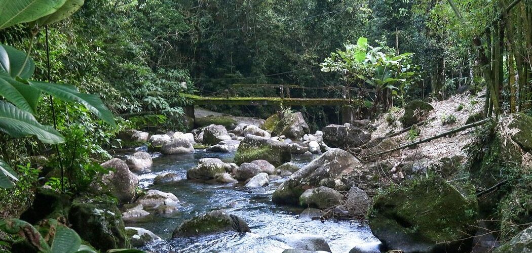 Ecoturismo: Região preservada estimula turismo consciente e pequenos produtores