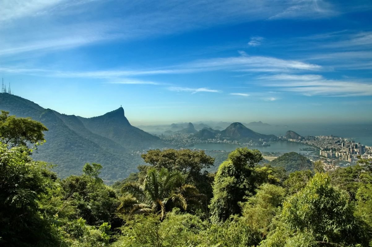 Mata Atlântica: A força e a grandiosidade do bioma que reverbera no turismo