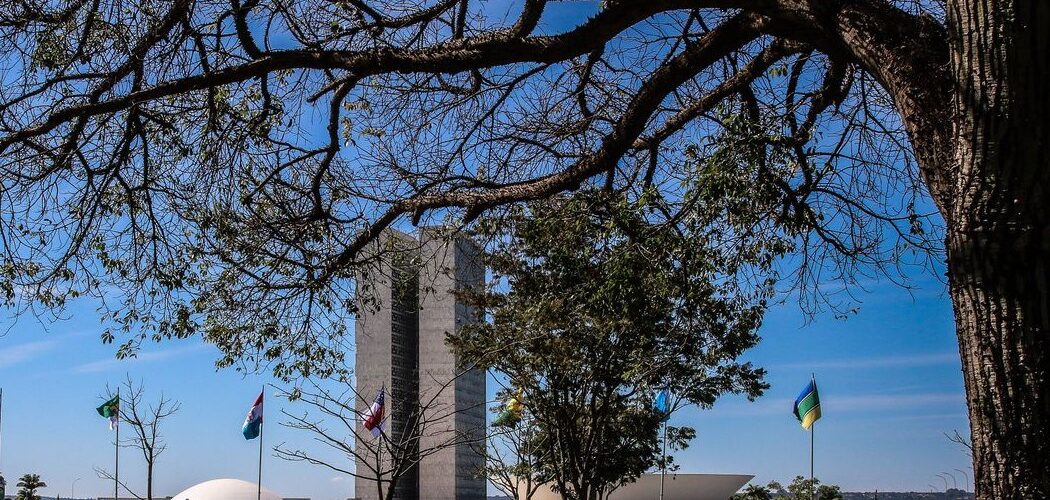 Política: Senado começa a analisar novo arcabouço fiscal esta semana