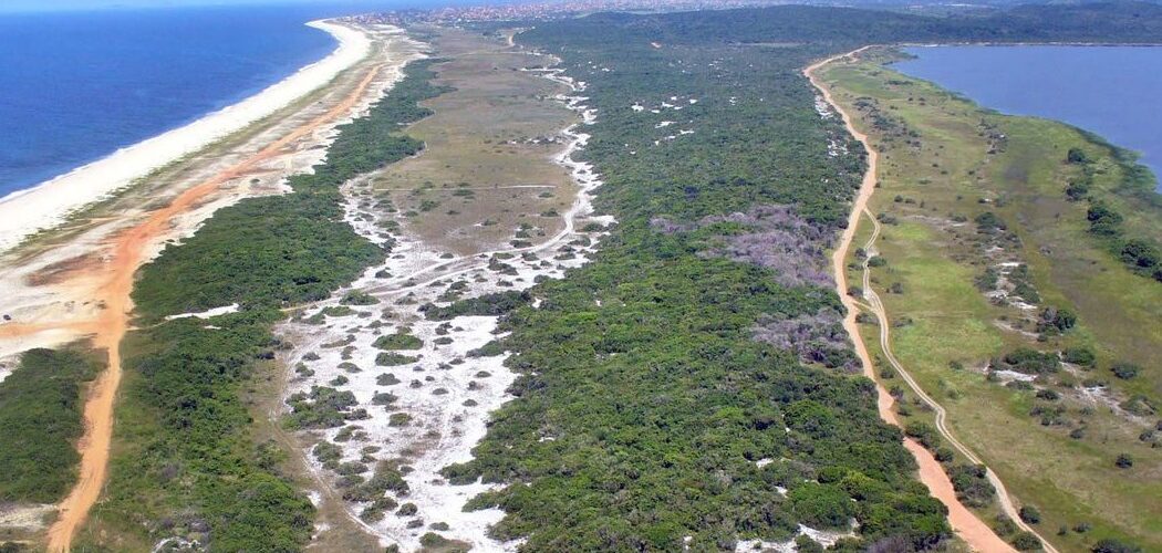 Justiça: STJ suspende obra e licença ambiental de resort em restinga de Maricá