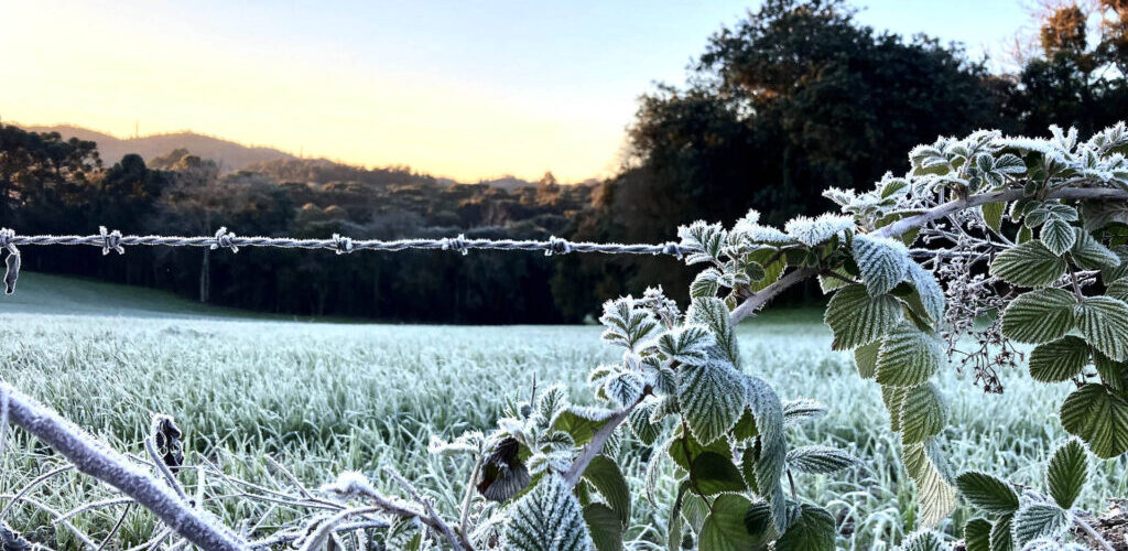 Inverno: Destinos frios que aquecem o turismo brasileiro