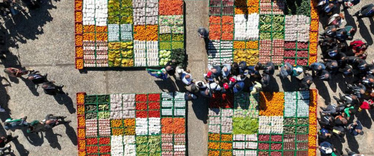 O BB é considerado como a instituição financeira que mais financia o agronegócio brasileiro. | Foto: Ricardo Stuckert