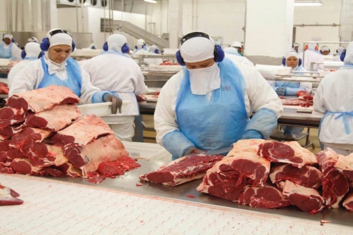Economia: Preço da carne deve cair 4% em 2023, aponta estudo do Santander