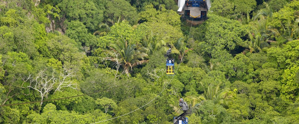 Parques Nacionais: Unidades de Conservação batem recorde com 21,6 milhões de visitas