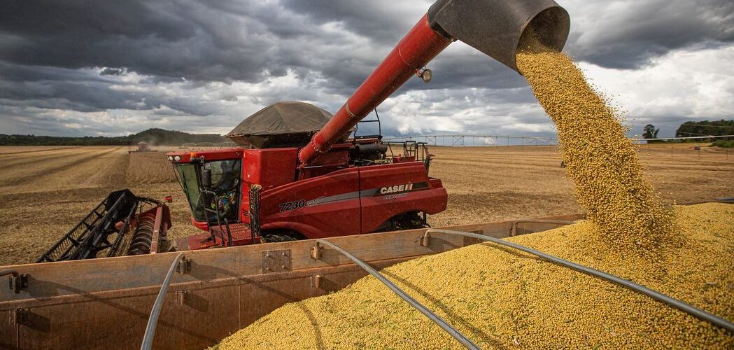 Agronegócio: Conab estima safra recorde de 317,6 milhões de toneladas em 2023