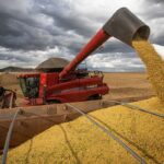 Agronegócio: Conab estima safra recorde de 317,6 milhões de toneladas em 2023