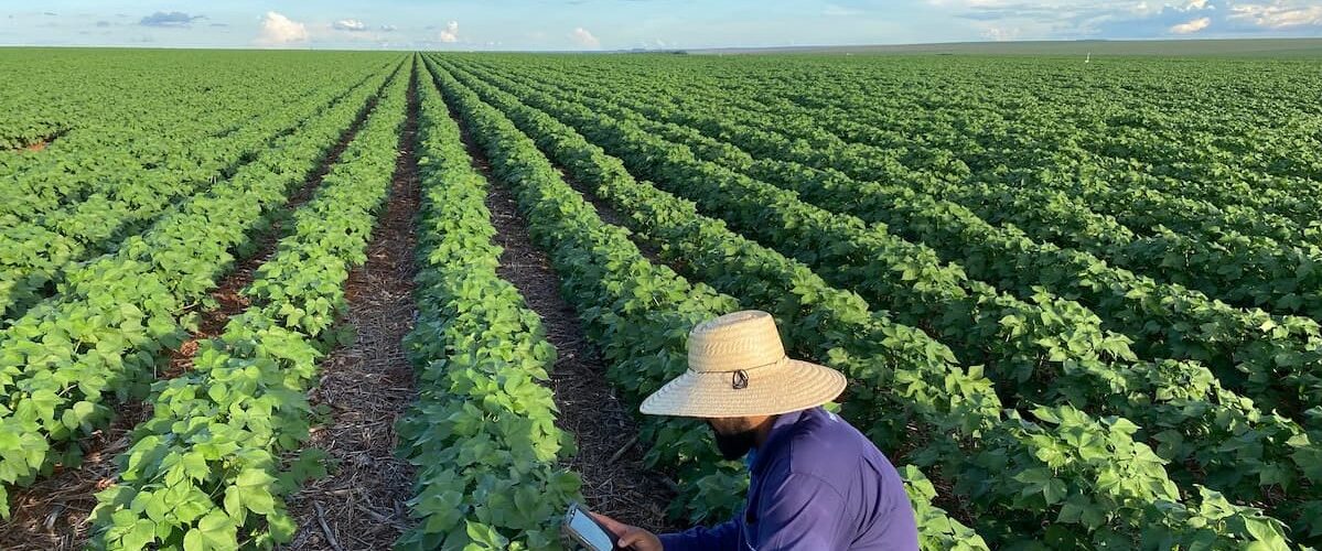 Opinião: O agronegócio e a reforma tributária