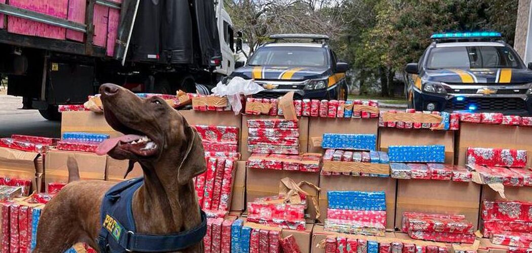 Segurança: PRF apreende 2 toneladas de maconha escondida em carreta na Via Dutra