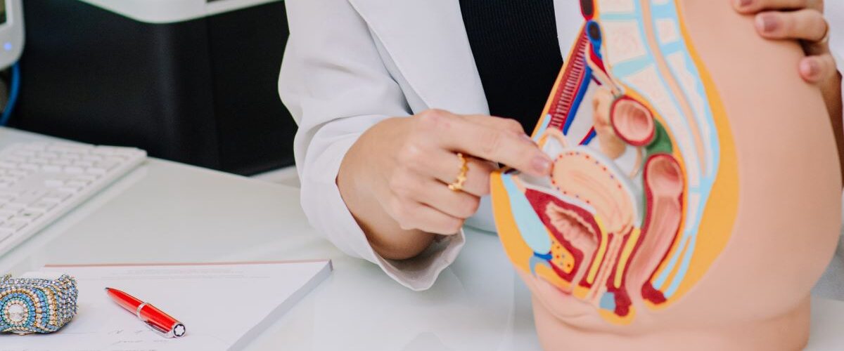 Saúde: Endometriose é uma das principais causas da infertilidade feminina, mas pode ser resolvida