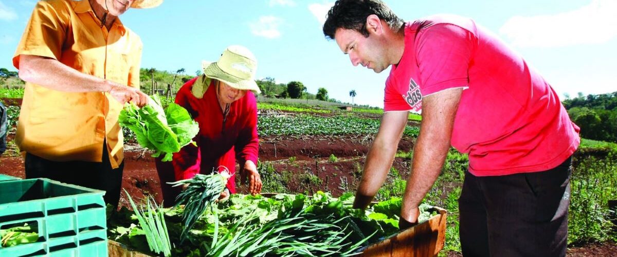 Agronegócio: Linhas de crédito para a agricultura familiar serão apresentadas durante Feira