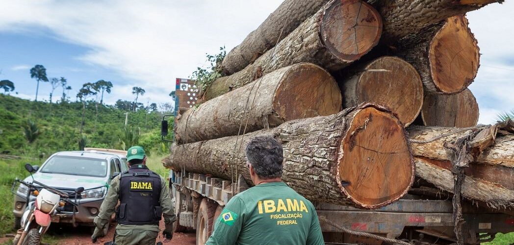 Gestão: Governo federal autoriza contratação de 257 servidores para o Ibama