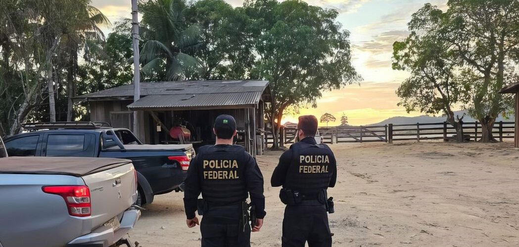 Meio Ambiente: PF combate desmatamento para criação de gado na floresta amazônica