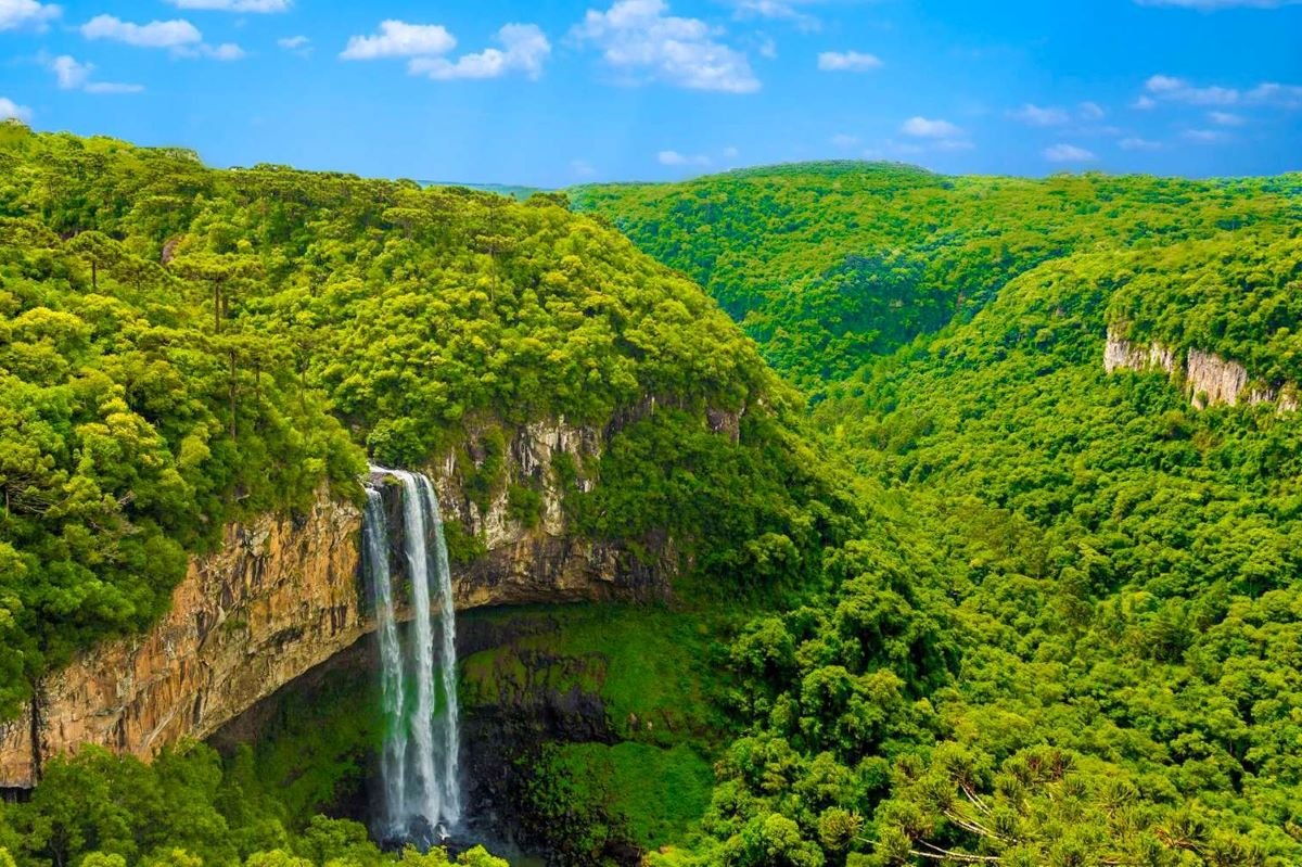 Reconhecimento: Forbes aponta Brasil como melhor país do mundo para ecoturismo