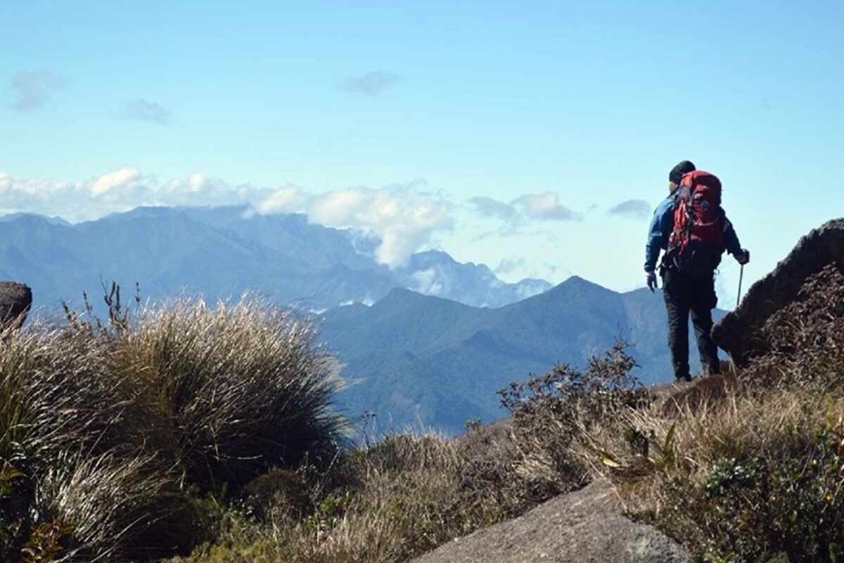 Ecoturismo: Saiba qual a importância da RedeTrilhas para o turismo do Brasil